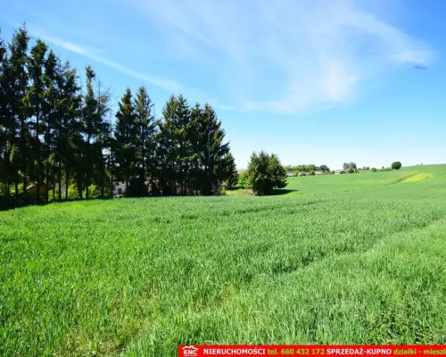 Dom/siedlisko na wsi 35 km od Lublina.