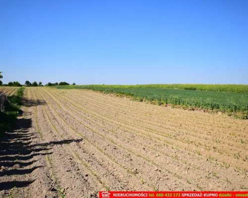 Działka rolno-budowlana bezpośrednio przy lesie.