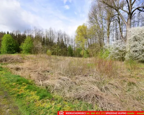 Działka o pow. 3115 m², blisko szkoła, MPK.