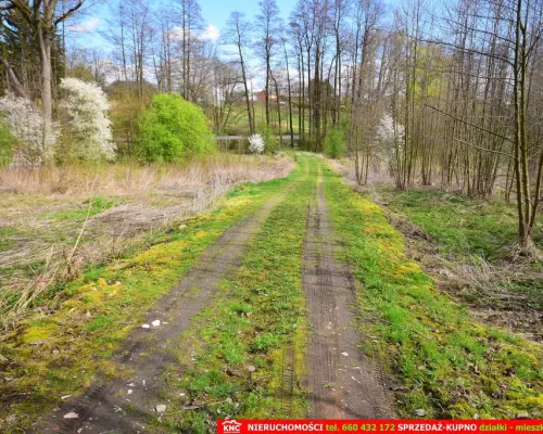 Działka o pow. 3115 m², blisko szkoła, MPK.