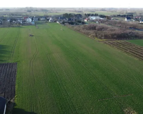 Działka rolno-budowlana 0,62 ha w Gołębiu k/Puław.