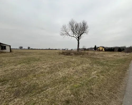 Działka 6462 z widokiem na muzeum w Czarnolesie