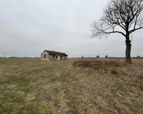 Działka 6462 z widokiem na muzeum w Czarnolesie