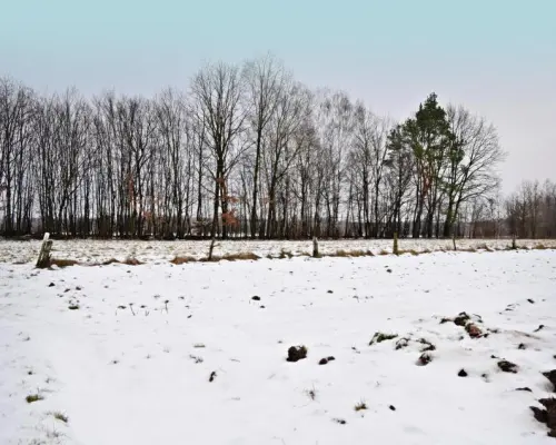 Działka pod Kazimierzem-16ar spokojna okolica!!