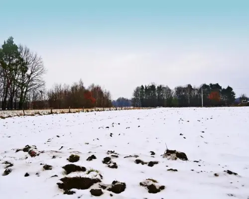 Działka pod Kazimierzem-16ar spokojna okolica!!
