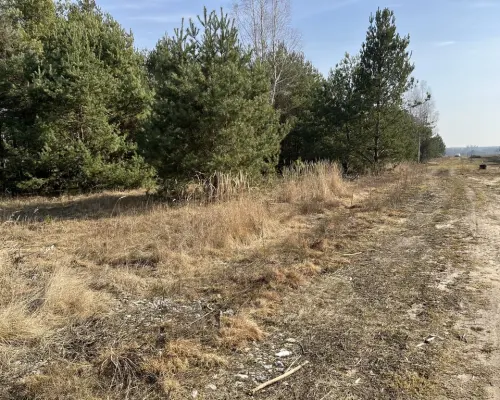 Działka z WZ w Wólce Gonciarskiej gm. Kazanów.