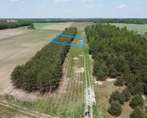 Działka z WZ w Wólce Gonciarskiej gm. Kazanów.