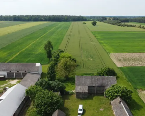 Działka rolna 3 ha w Jasieńcu Soleckim (zwoleński)