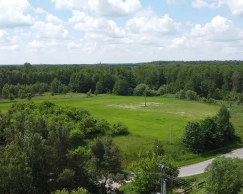 Dwa domy na dużej działce 100 km. od Warszawy.
