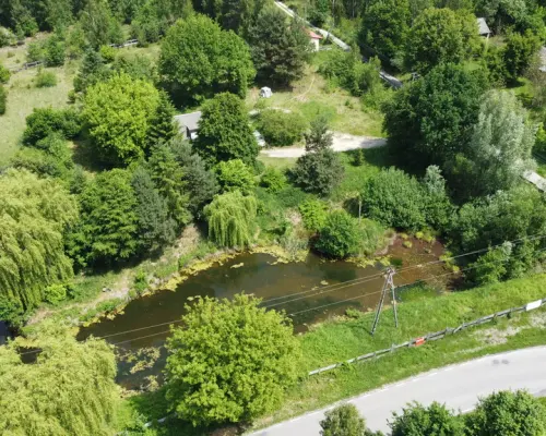 Dwa domy na dużej działce 100 km. od Warszawy.