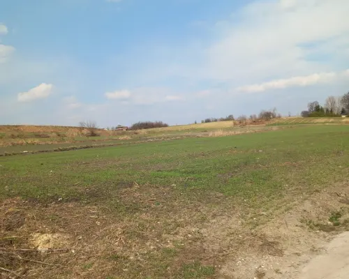 Jakubowice Murowane, gm. Wólka-działka 6600m2