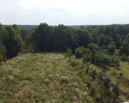 Działka z MPZP 0,54 ha w Bronowicach gm. Puławy..