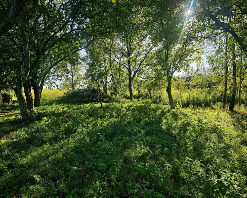 Działka pod dom jednorodzinny lub bliźniaka -Smugi