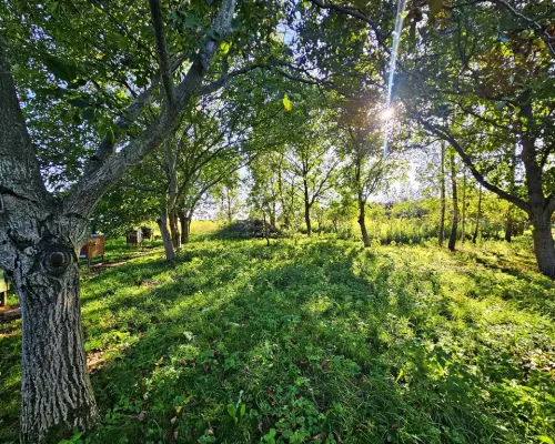 Smugi gm. Jastków- 56ar pod bliźniaka lub dom