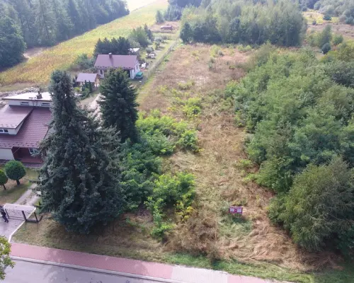 Piękna działka w pobliżu jeziora
