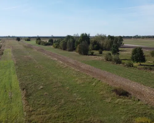 Działka budowlana 0.55 ha Sielce gm. Końskowola