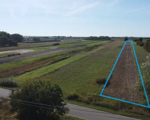 Działka budowlana 0.55 ha Sielce gm. Końskowola