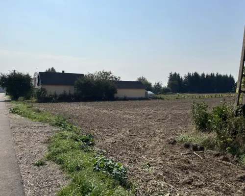 Działka rolno-budowlana 0,31 ha w Gołębiu k/Puław.
