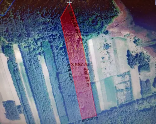 Działka leśna 3,90 ha w Brodach  gm. Pierzchnica.