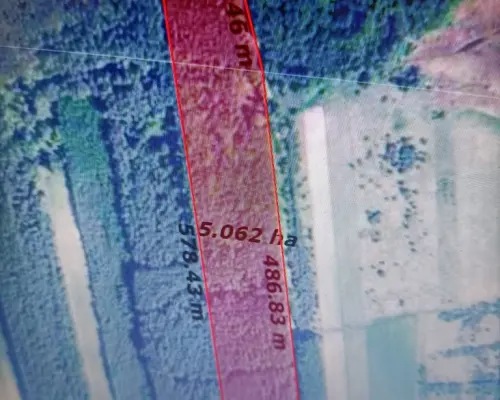 Działka leśna 3,90 ha w Brodach  gm. Pierzchnica.