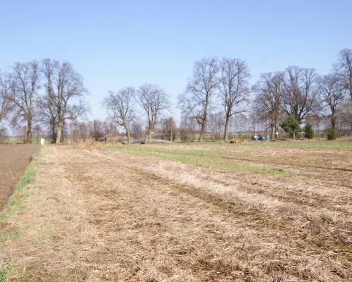 Działka budowlana Stoczek Kolonia 18ar lub więcej