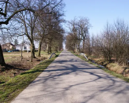 Działka budowlana Stoczek Kolonia 18ar lub więcej