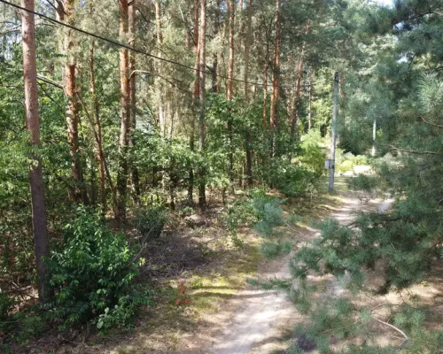 Działka 800 m2 w Woli Chodkowskiej Warszawa 85 km.