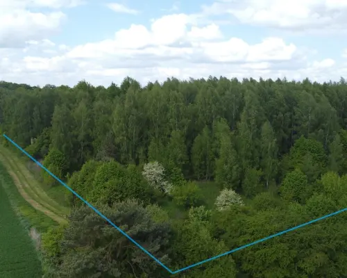 Działka 2,15 ha z potencjałem koło Nałęczowa.