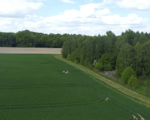 Działka 2,15 ha z potencjałem koło Nałęczowa.