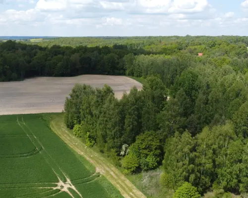 Działka 2,15 ha z potencjałem koło Nałęczowa.