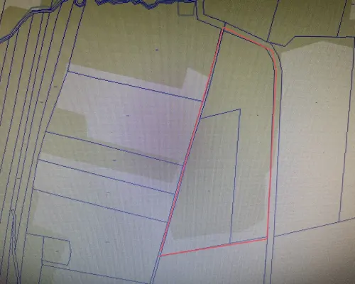 Działka 2,15 ha z potencjałem koło Nałęczowa.