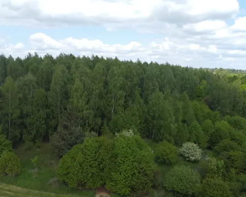 Działka 2,15 ha z potencjałem koło Nałęczowa.