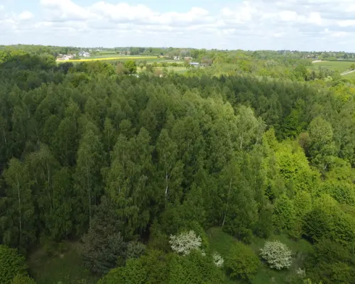 Działka 2,15 ha z potencjałem koło Nałęczowa.