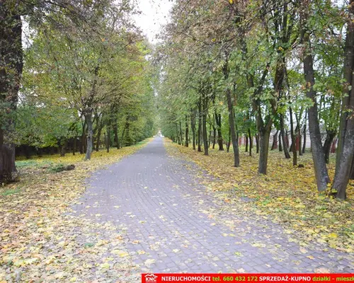 Zabytkowy Zespół Dworsko-Parkowy (XIXw. 1880 r)