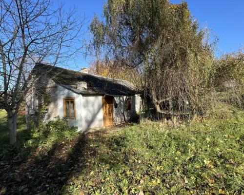 Siedlisko (działka 3623 m2) Przyłęk pow. Zwoleń.