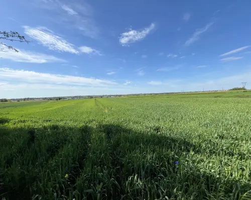 Działka 0,82ha U/MN Wólka gm. Długie pod Lublinem.