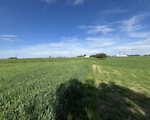 Działka 0,82ha U/MN Wólka gm. Długie pod Lublinem.