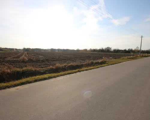 Działka rolno budowlana 65ar Sobolew Kol g. Firlej