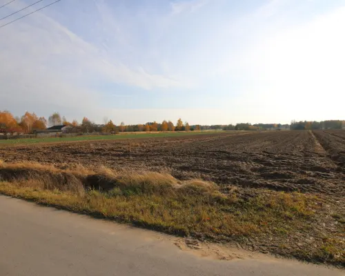 Działka rolno budowlana 65ar Sobolew Kol g. Firlej