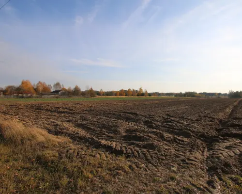 Działka rolno budowlana 65ar Sobolew Kol g. Firlej