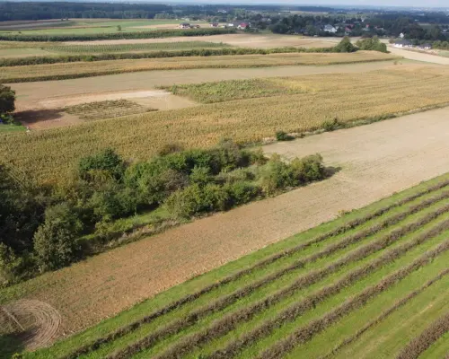 Działka, Motycz, 8.5ar, budownictwo jednorodzinne