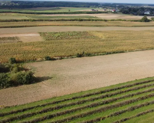 Działka, Motycz, 8.5ar, budownictwo jednorodzinne