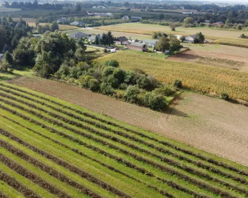 Działka, Motycz, 8.5ar, budownictwo jednorodzinne