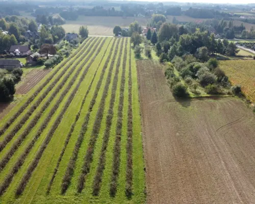 Działka, Motycz, 8.5ar, budownictwo jednorodzinne