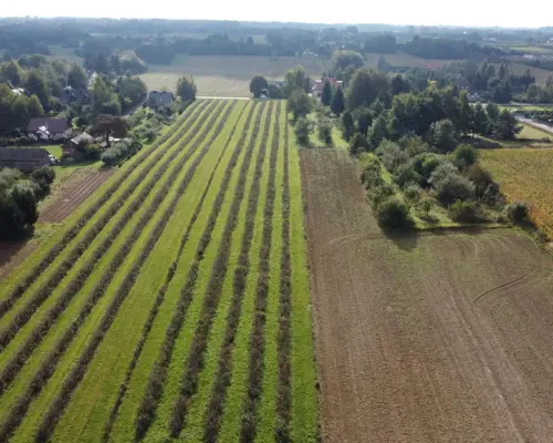 Działka, Motycz, 8.5ar, budownictwo jednorodzinne