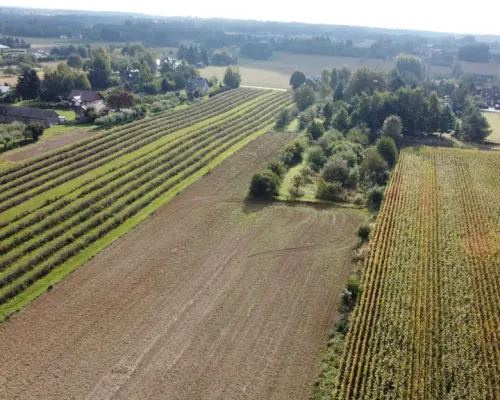 Działka, Motycz, 8.5ar, budownictwo jednorodzinne