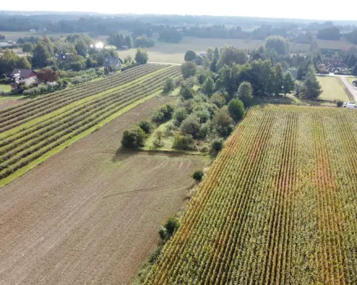 Działka, Motycz, 8.5ar, budownictwo jednorodzinne