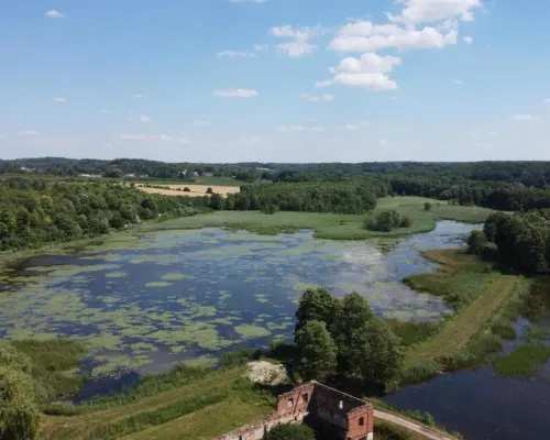 Działka 35 ha z ruinami papierni w Celejowie.