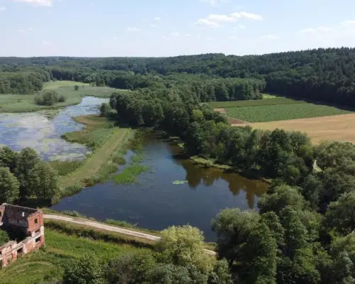 Działka 35 ha z ruinami papierni w Celejowie.