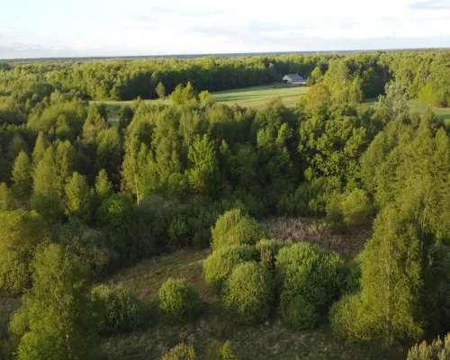 Nietypowa działka 2 ha w Kawęczynie gm. Ciepielów